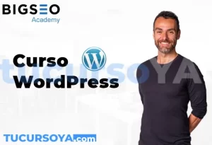 Curso Wordpress bigseo romuald fons