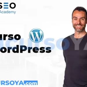 Curso Wordpress bigseo romuald fons