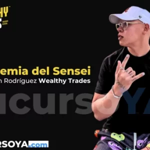 Academia del Sensei trading